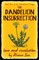 The Dandelion Insurrection - Love and Revolution -