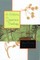 A History of Japanese Theology