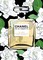 <BR>Chanel in 55 Objects
