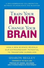 Train Your Mind, Change Your Brain