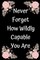 Never Forget How Wildly Capable You Are