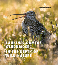 Laukinės gamtos glūdumose