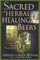 Sacred and Herbal Healing Beers