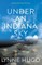 Under an Indiana Sky