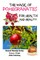 The Magic of Pomegranates For Health and Beauty