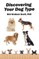 Discovering Your Dog Type