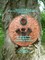 Winged Ones: Spirit Medicine Teachings & Alchemy