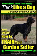Gordon Setter, Gordon Setter Training - Think Like a Dog...but don't eat your poop! - Breed Expert Gordon Setter Training