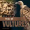 Wake of Vultures