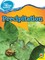 Precipitation