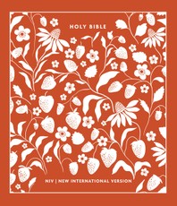 NIV Clothbound Journalling Bible
