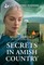 Secrets in Amish Country