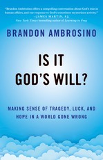 Is It God's Will?