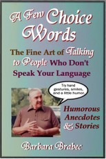 Few Choice Words: The Fine Art of Talking to People Who Don't Speak Your Language