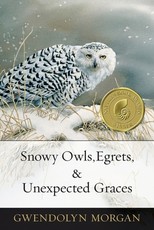 Snowy Owls, Egrets & Unexpected Graces