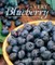 Very Blueberry