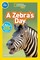 Andrus, A: A Zebra's Day (National Geographic Kids Readers, (el. knyga)