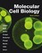 Molecular Cell Biology (International Edition)