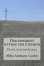 Discernment within the Church
