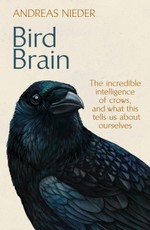 Bird Brain