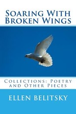 Soaring With Broken Wings