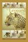 Marincola, F: Leopard and Other Stories