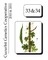 Cucurbit Genetics Cooperative 2010 & 2011
