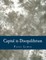 Capital in Disequilibrium (Large Print Edition)