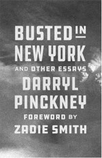 Busted in New York and Other Essays