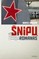Šnipų romanas