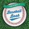 My First Baseball Book