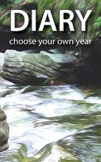 Diary - choose your own year