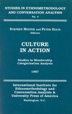 Culture in Action