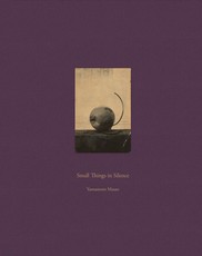 Masao Yamamoto: Small Things in Silence