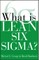 What Is Lean Six SIGMA