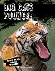 Big Cats Pounce!