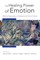 The Healing Power of Emotion: Affective Neuroscience, Development & Clinical Practice (Norton Series on Interpersonal Neurobiology)