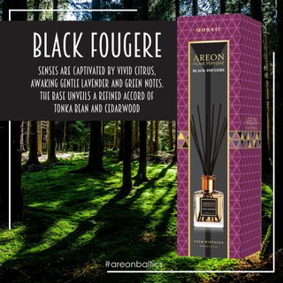 Kvapniosios lazdelės AREON MOSAIC Black Fougere 85 ml