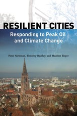 ResiliCities