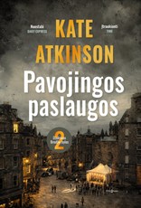 PAVOJINGOS PASLAUGOS. Džeksono Brodžio bylos #2