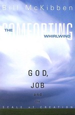 The Comforting Whirlwind