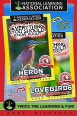 Everything You Should Know About
