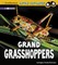 Grand Grasshoppers