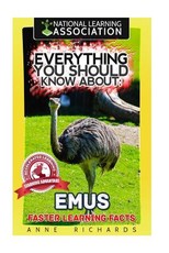 Everything You Should Know About