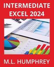 Intermediate Excel 2024