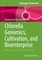 Chlorella Genomics, Cultivation, and Bioenterprise