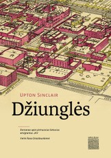 Džiunglės