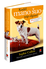 Kodėl mano šuo taip elgiasi?