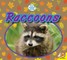 Raccoons
