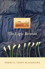 Light Between